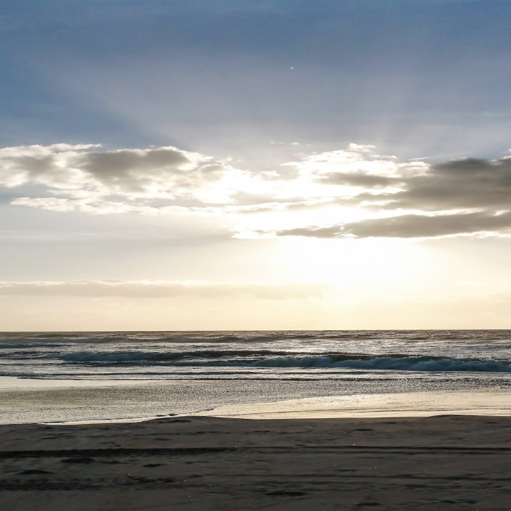 Meet your Posher, Liz